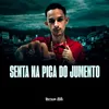 About SENTA NA PICA DO JUMENTO Song