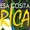 About Cosita Rica Song