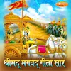 About Shrimad Bhagwat Geeta Saar, Pt. 5 Song