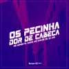 About OS PECINHA DOR DE CABEÇA Song