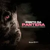 About PONTO DA PANTERA Song