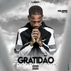 About Gratidão Song