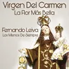 Virgen del Carmen La flor más bella