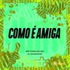 About COMO É AMIGA Song