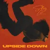 UPSIDE DOWN