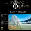 Concerto for 3 Harpsichords No. 1 in D Minor, BWV 1063: I. (no tempo indication) (Arr. for Flute, Oboe, Violin, Strings and Continuo)