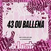 43 ou Ballena