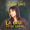 About La Gata Bajo la Lluvia Song