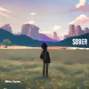 About Sober Song