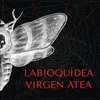 About Labioquídea / Virgen Atea Song
