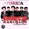 About La tóxica Song