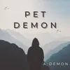 About Pet Demon Song