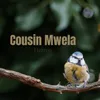 Cousin Mwela