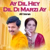 About Ay Dil Hey Dil Di Marzi Ay Song