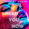 About Need You Now Song