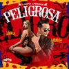 About Peligrosa Song