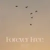 About Forever Free Song