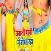 About Jawani Pani Me Borat rha Song