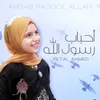 About Ahbab Rasool Allah Song