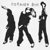 About Forever Boy Song