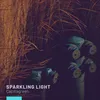 About Sparkling Light Song