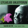 Leylakları Anlatıyorum