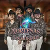 About Norteñas para Adoloridos Song