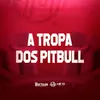 A TROPA DOS PITBULL