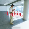 Labia