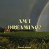 About Am I Dreaming Song