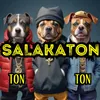 About Salakatón Song