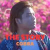 About The Story Song