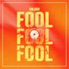 About Fool Song