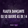 About FLAUTA DANÇANTE EU SO QUERO AS DE 14 Song