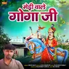 About Medi Wale Gogaji Song
