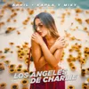About LOS ÁNGELES DE CHARLIE Song
