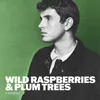 Wild Raspberries & Plum Trees