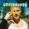 About Goosebumps Song