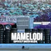 About Mamelodi Song