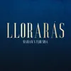 About Llorarás Song