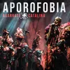 About Aporofobia Song