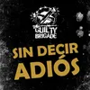 About Sin Decir Adiós Song