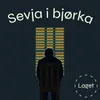 Sevja i bjørka