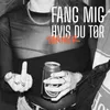 About FANG MIG HVIS DU TØR Song