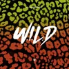 About W.I.L.D. Song