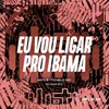 About EU VOU LIGAR PRO IBAMA Song