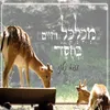 About מכלכל חיים Song