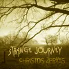 About Strange Journey Song