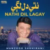 About Nathi Dil Lagay Song