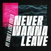 About Never Wanna Leave Song